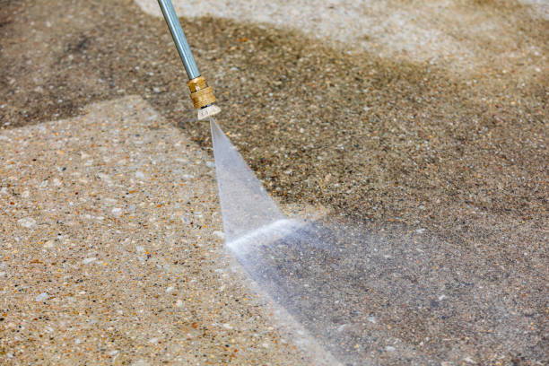 Best Gutter Cleaning  in Warrenvle, IL