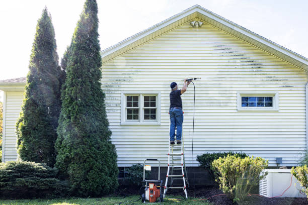 Best Patio and Deck Pressure Washing  in Warrenvle, IL